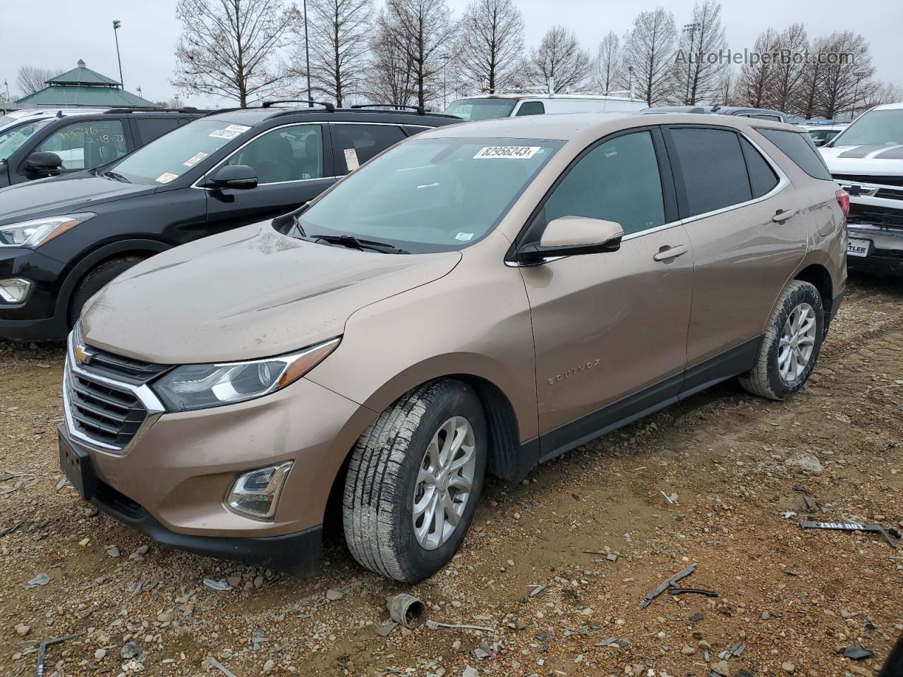 2018 Chevrolet Equinox Lt Tan vin: 2GNAXJEV4J6238606