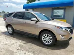 2019 Chevrolet Equinox Lt Tan vin: 2GNAXJEV4K6267816