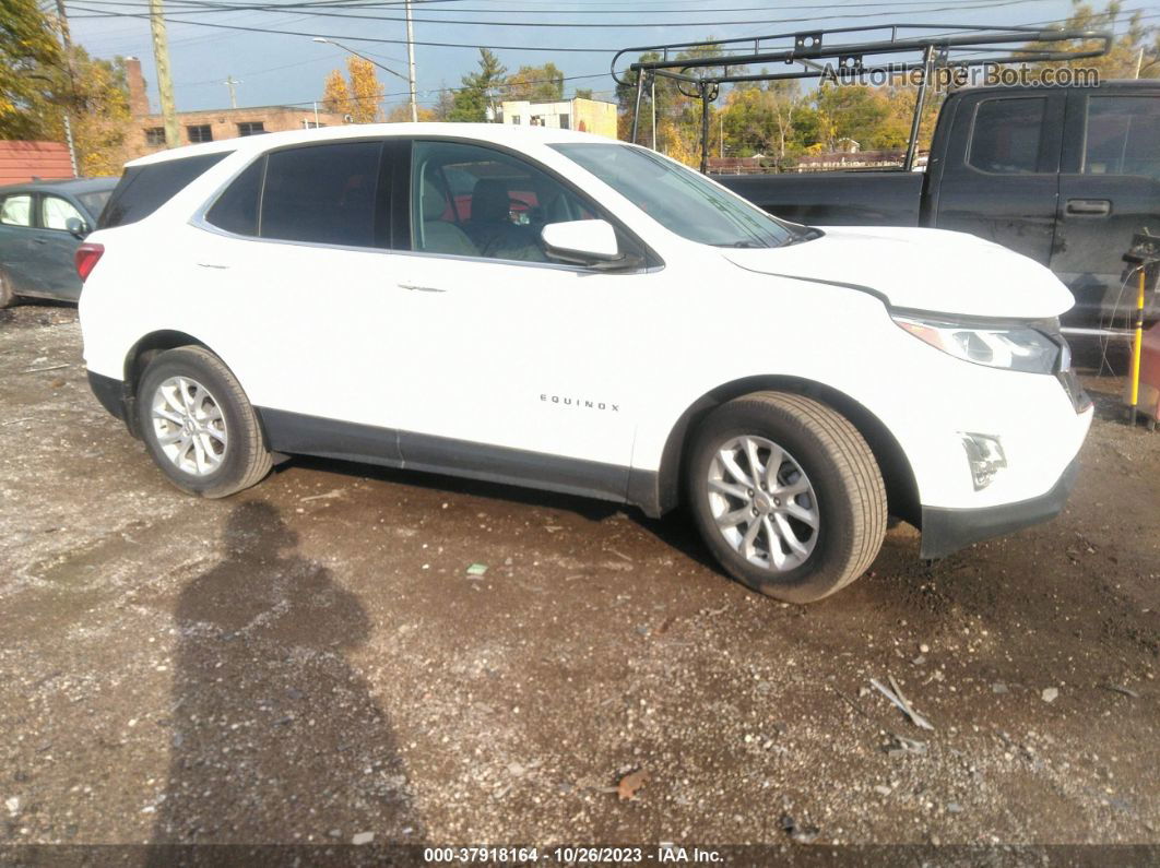 2019 Chevrolet Equinox Lt White vin: 2GNAXJEV7K6234857