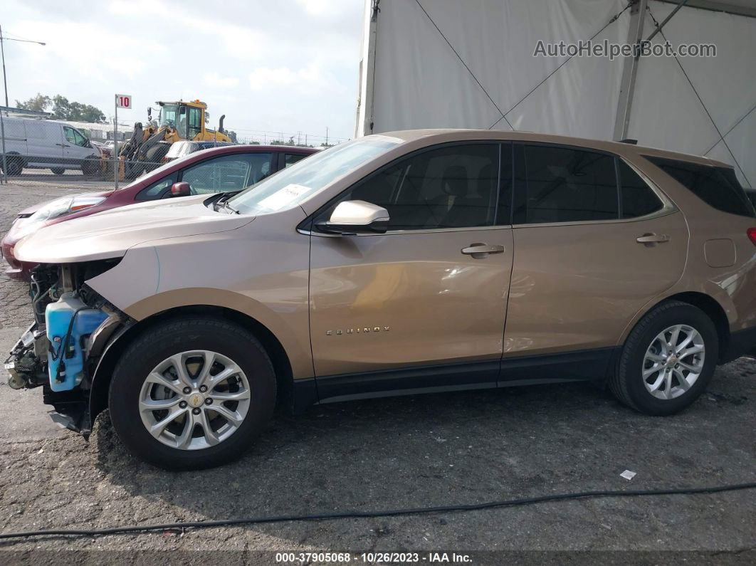 2019 Chevrolet Equinox Lt Beige vin: 2GNAXJEV7K6265526