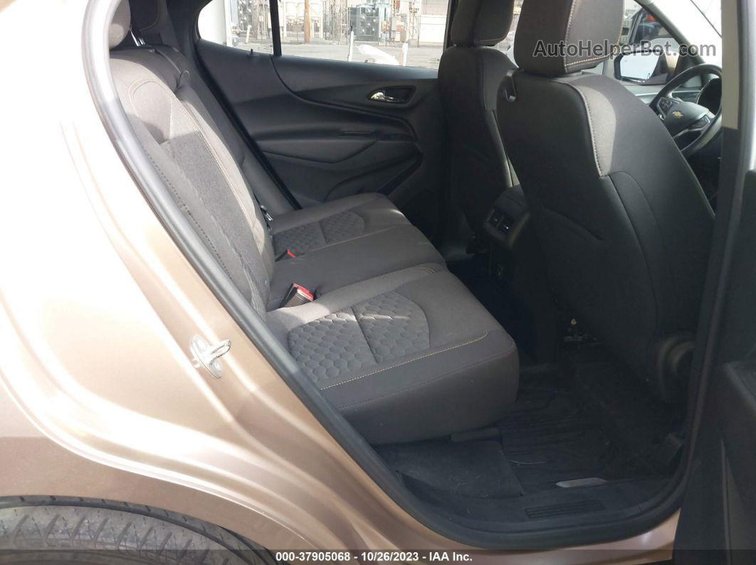 2019 Chevrolet Equinox Lt Beige vin: 2GNAXJEV7K6265526