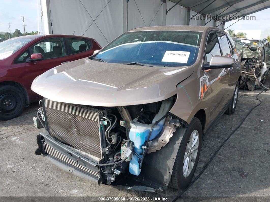 2019 Chevrolet Equinox Lt Beige vin: 2GNAXJEV7K6265526