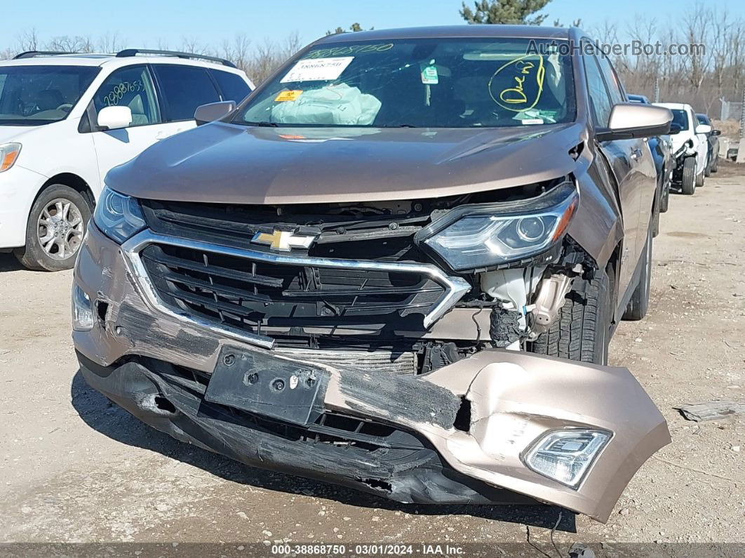 2019 Chevrolet Equinox Lt Золотой vin: 2GNAXKEV4K6292558