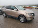 2019 Chevrolet Equinox Lt Brown vin: 2GNAXKEV7K6106351