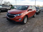 2020 Chevrolet Equinox Lt Бордовый vin: 2GNAXKEV8L6261931