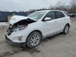 2019 Chevrolet Equinox Lt Белый vin: 2GNAXKEVXK6161313