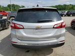 2018 Chevrolet Equinox Ls Silver vin: 2GNAXREV8J6164332