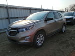 2018 Chevrolet Equinox Ls Золотой vin: 2GNAXREVXJ6231884