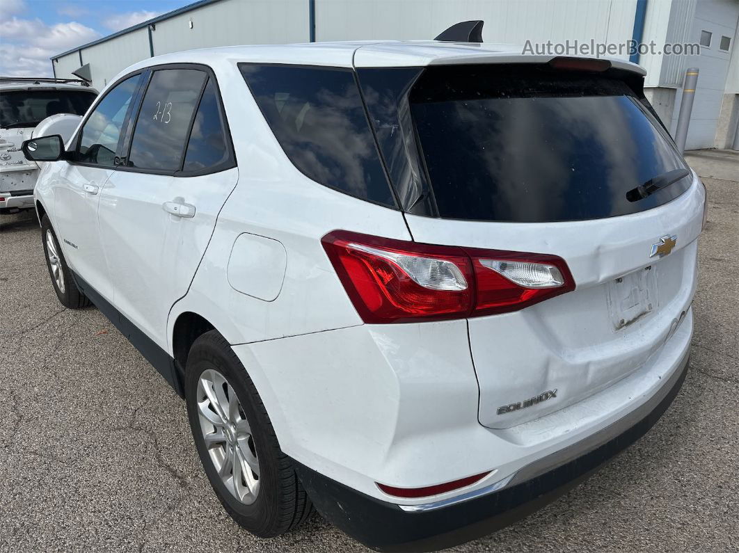 2018 Chevrolet Equinox Ls vin: 2GNAXREVXJ6338238