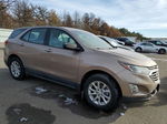 2019 Chevrolet Equinox Ls Желто-коричневый vin: 2GNAXSEV2K6302892