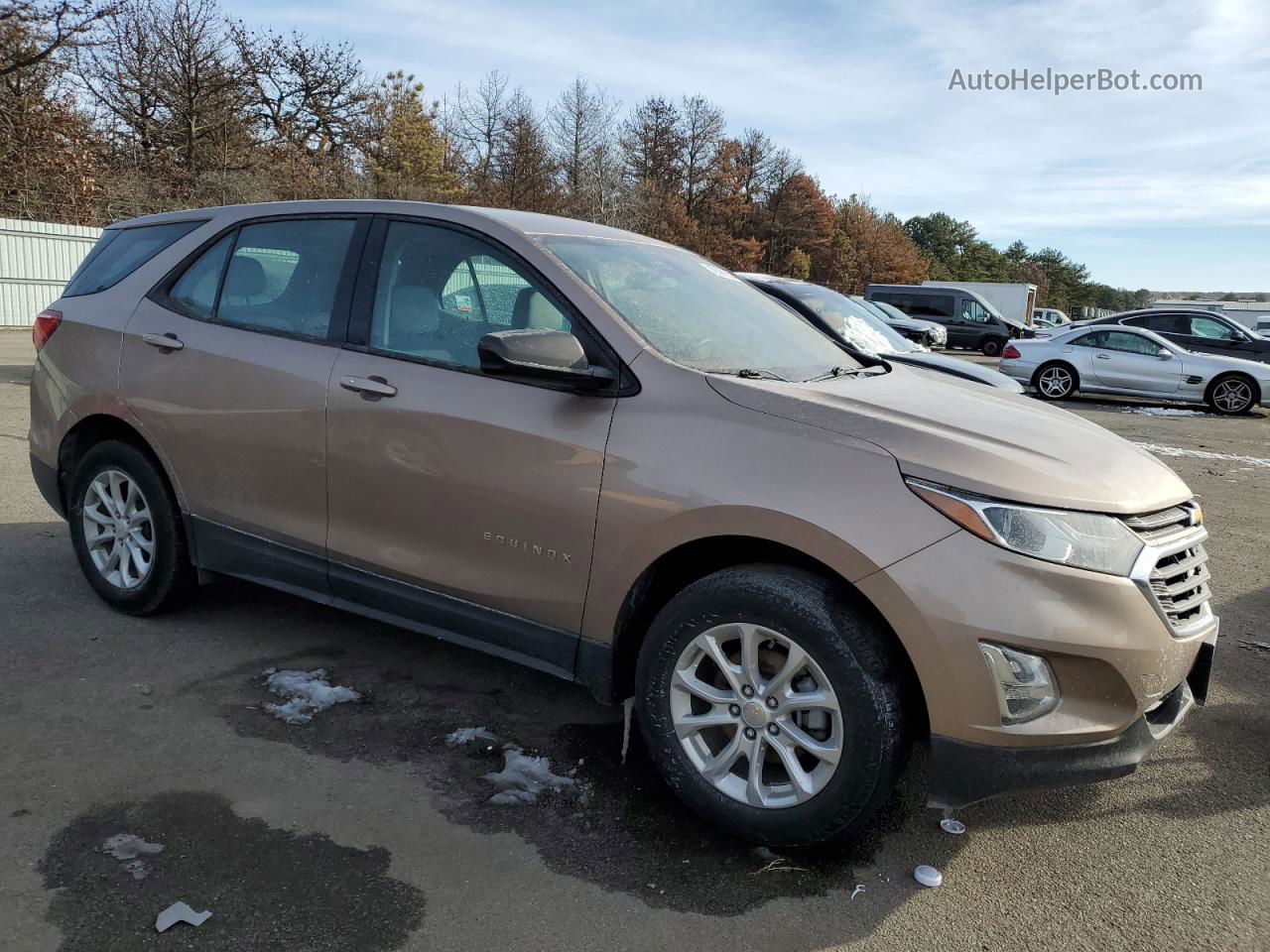 2019 Chevrolet Equinox Ls Желто-коричневый vin: 2GNAXSEV2K6302892