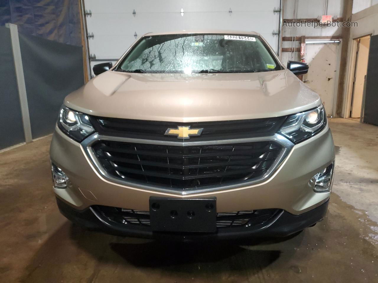 2019 Chevrolet Equinox Ls Золотой vin: 2GNAXSEV5K6110477