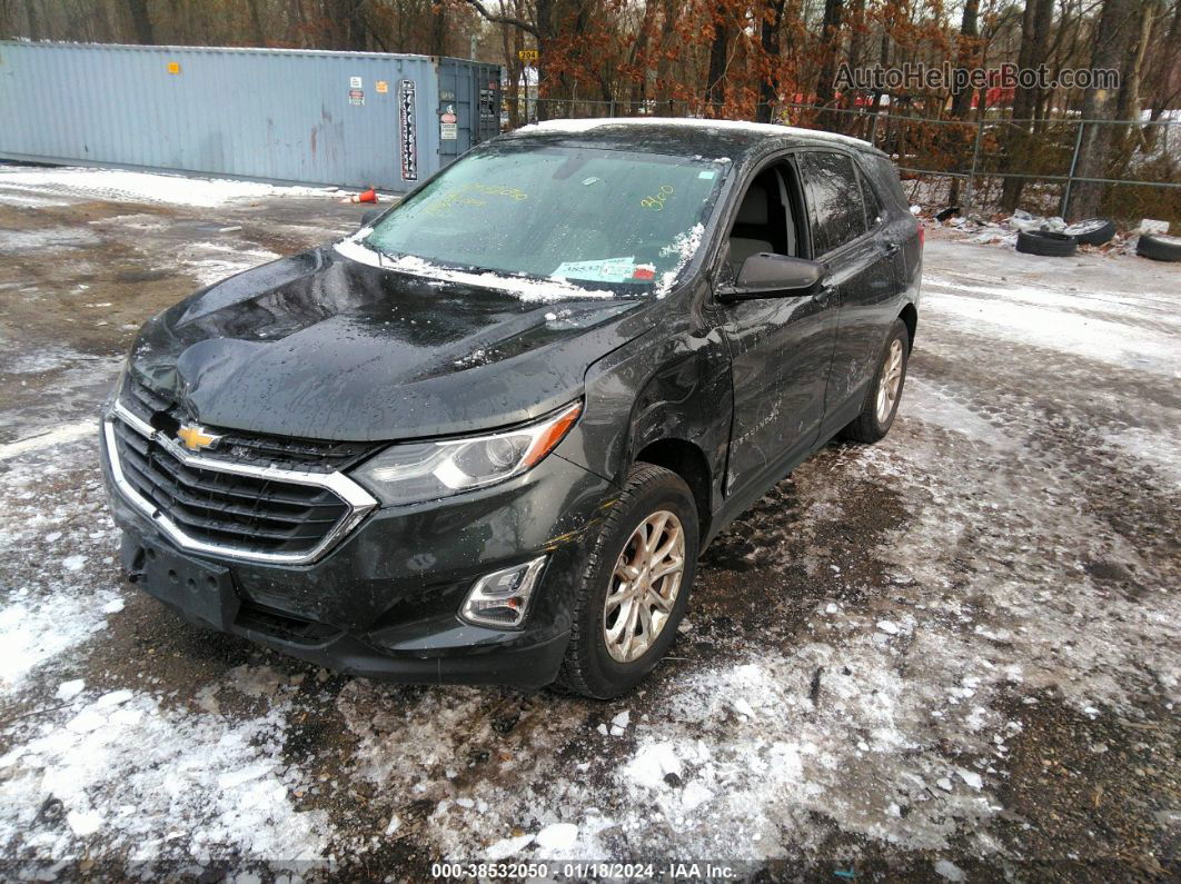 2019 Chevrolet Equinox Ls Gray vin: 2GNAXSEV7K6269999