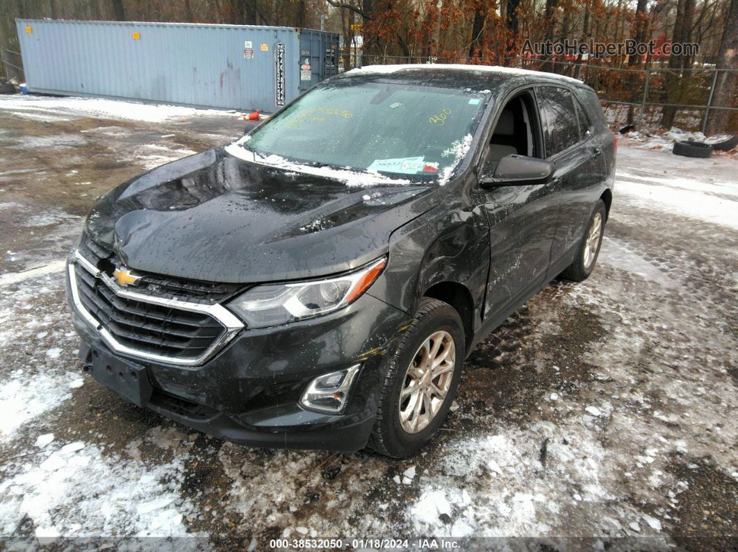 2019 Chevrolet Equinox Ls Gray vin: 2GNAXSEV7K6269999