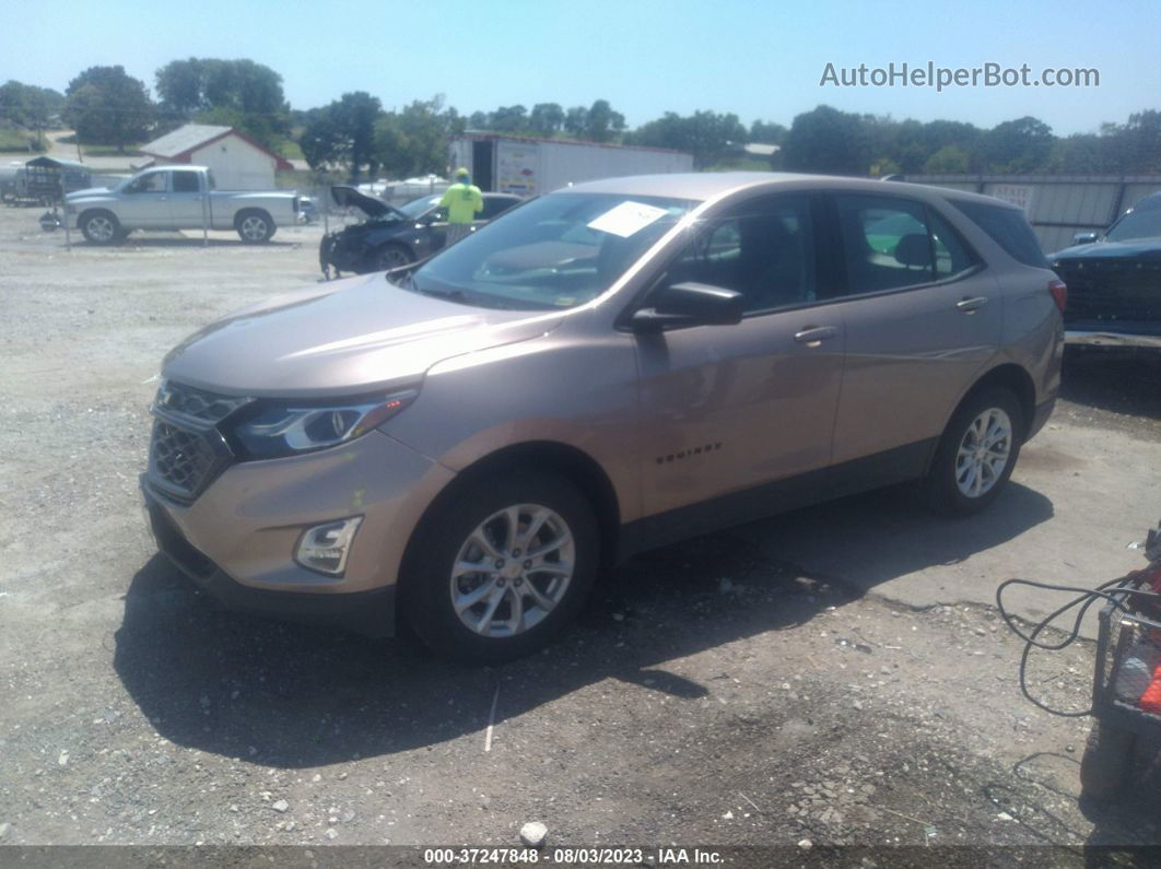 2019 Chevrolet Equinox Ls Beige vin: 2GNAXSEV9K6222943