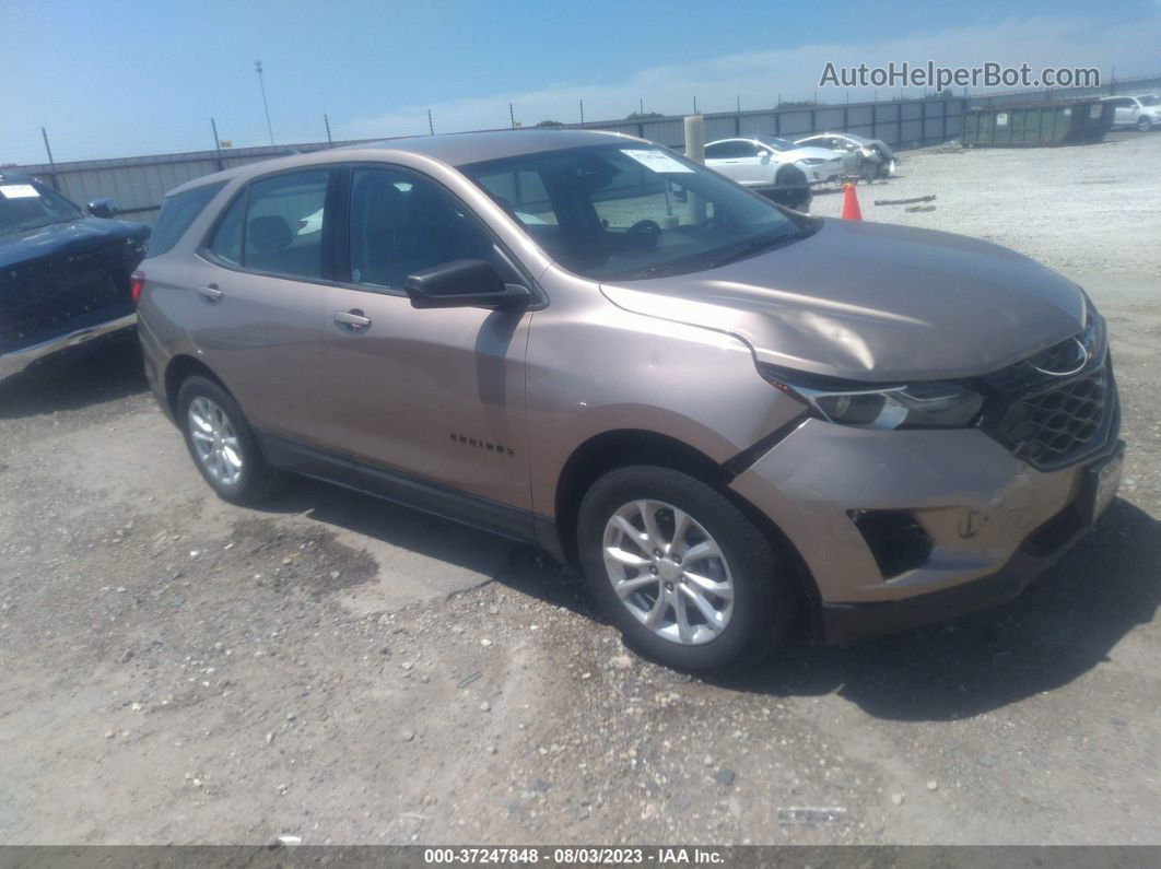 2019 Chevrolet Equinox Ls Beige vin: 2GNAXSEV9K6222943