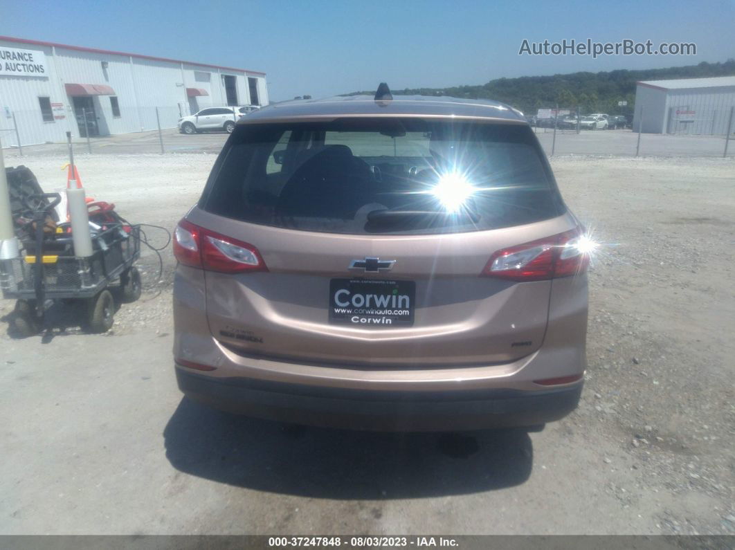 2019 Chevrolet Equinox Ls Beige vin: 2GNAXSEV9K6222943