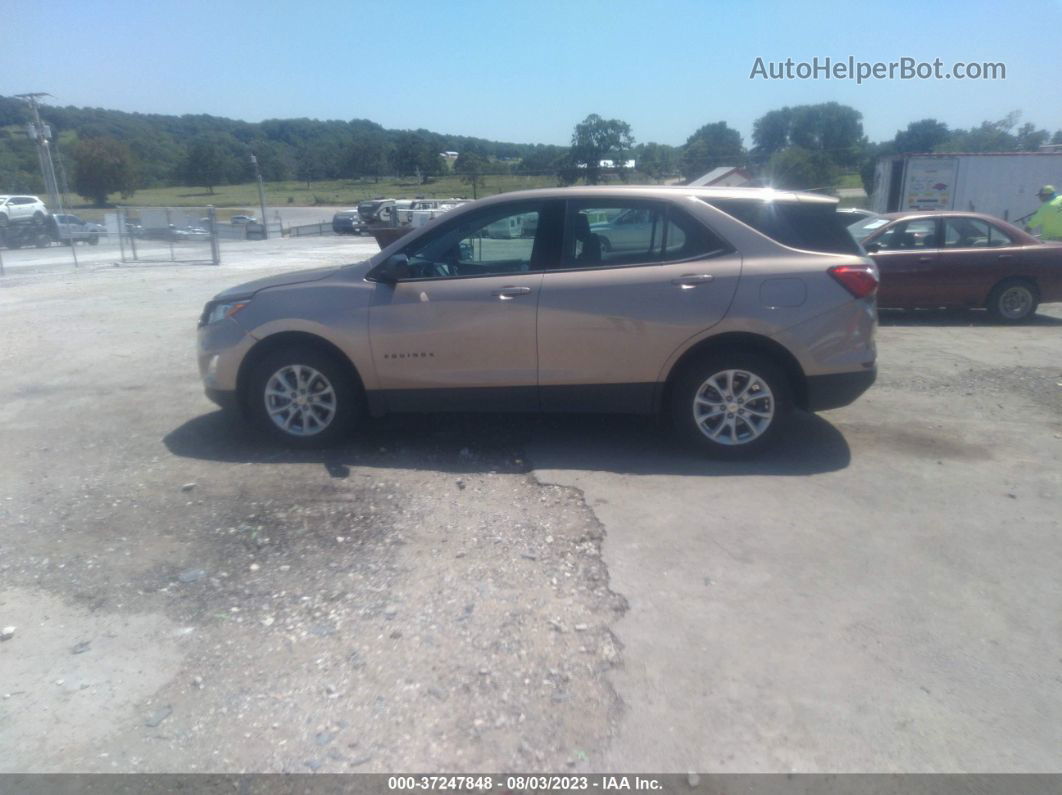 2019 Chevrolet Equinox Ls Beige vin: 2GNAXSEV9K6222943