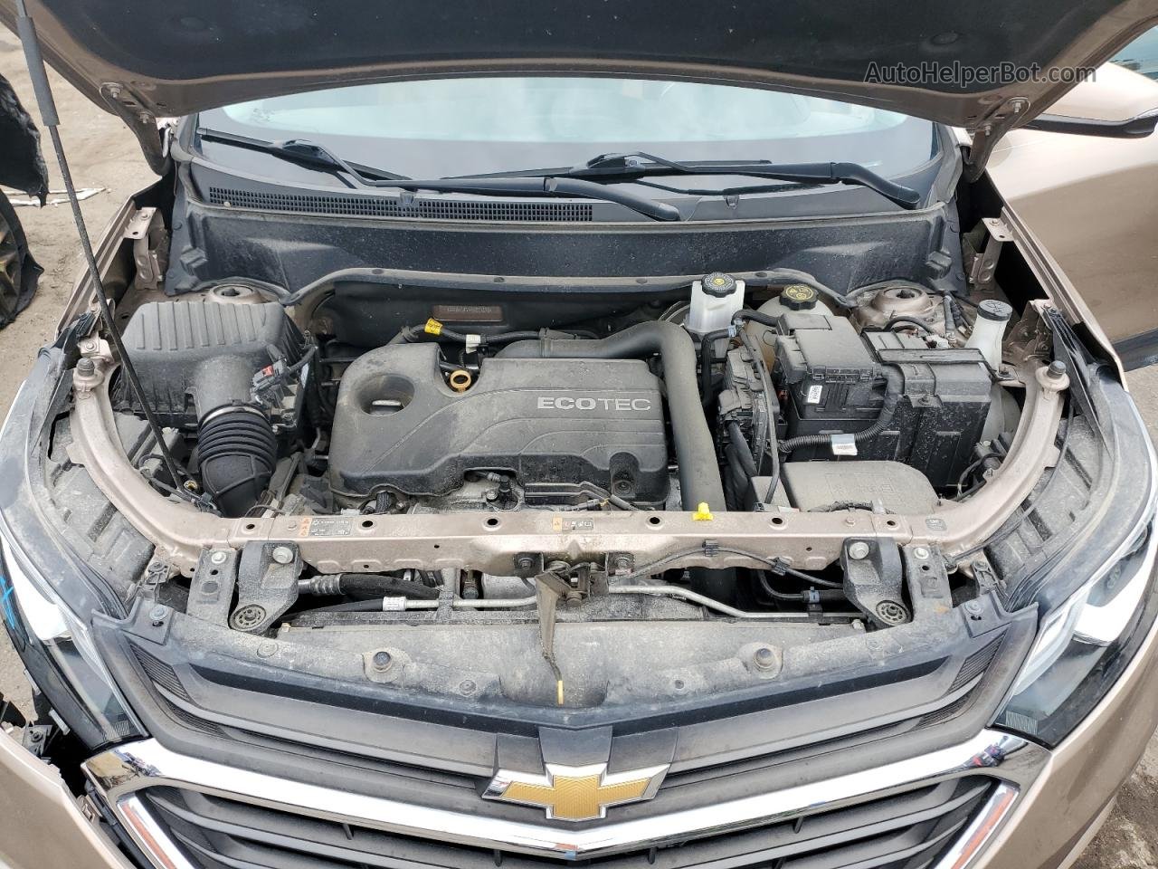 2019 Chevrolet Equinox Lt Tan vin: 2GNAXTEV4K6237890