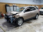 2019 Chevrolet Equinox Lt Tan vin: 2GNAXTEV9K6223421