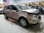 2019 Chevrolet Equinox Lt Tan vin: 2GNAXTEV9K6223421