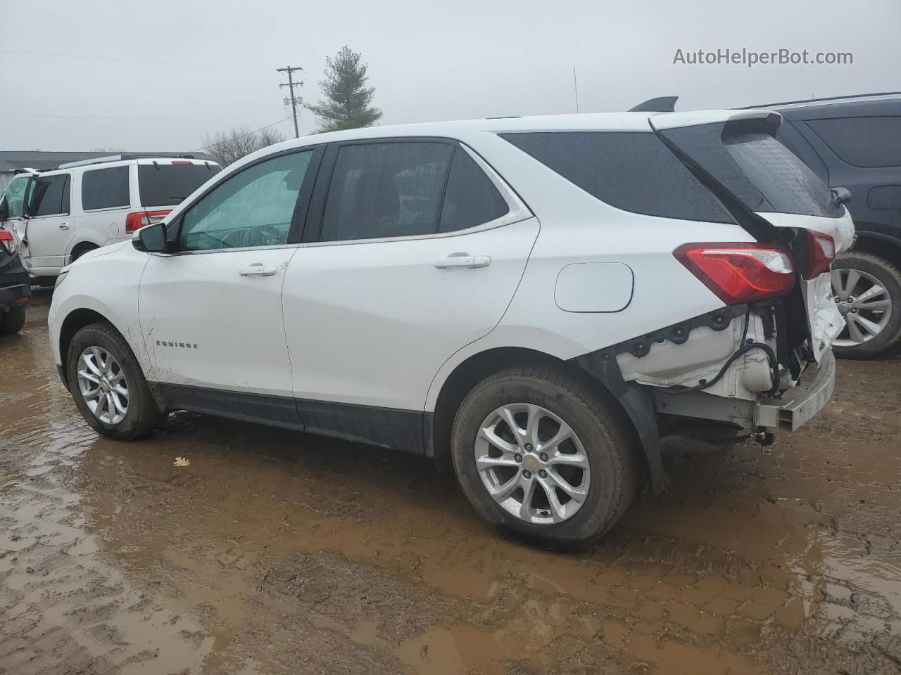 2019 Chevrolet Equinox Lt Белый vin: 2GNAXUEV1K6233141