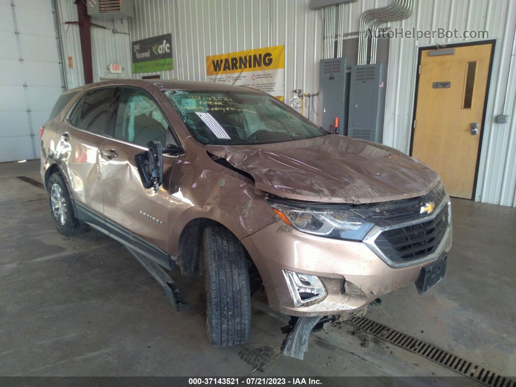 2019 Chevrolet Equinox Lt Brown vin: 2GNAXUEV6K6298986