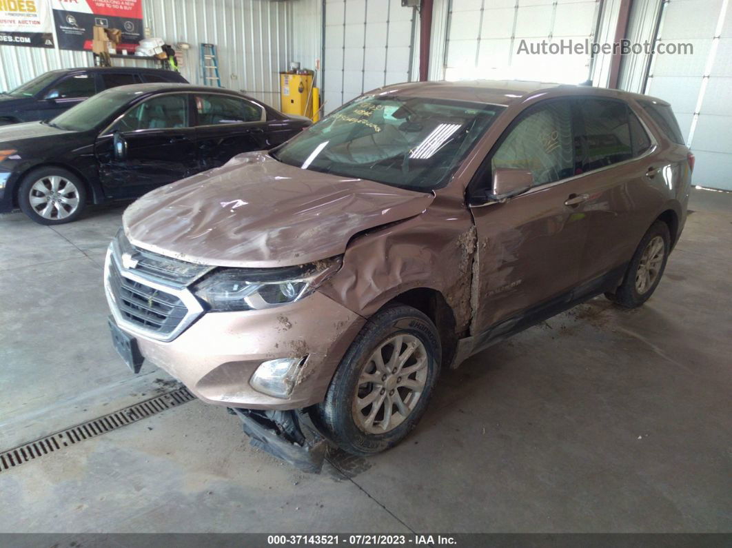 2019 Chevrolet Equinox Lt Brown vin: 2GNAXUEV6K6298986