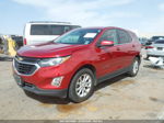 2019 Chevrolet Equinox Lt Red vin: 2GNAXUEVXK6302909