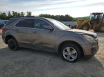 2012 Chevrolet Equinox Lt Золотой vin: 2GNFLDE53C6282005