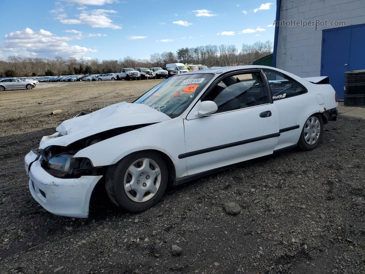 1995 Honda Civic Ex White vin: 2HGEJ1125SH533308