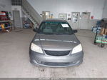 2004 Honda Civic Lx Серый vin: 2HGES15624H575366