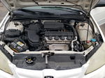 2004 Honda Civic Lx Белый vin: 2HGES16584H629369