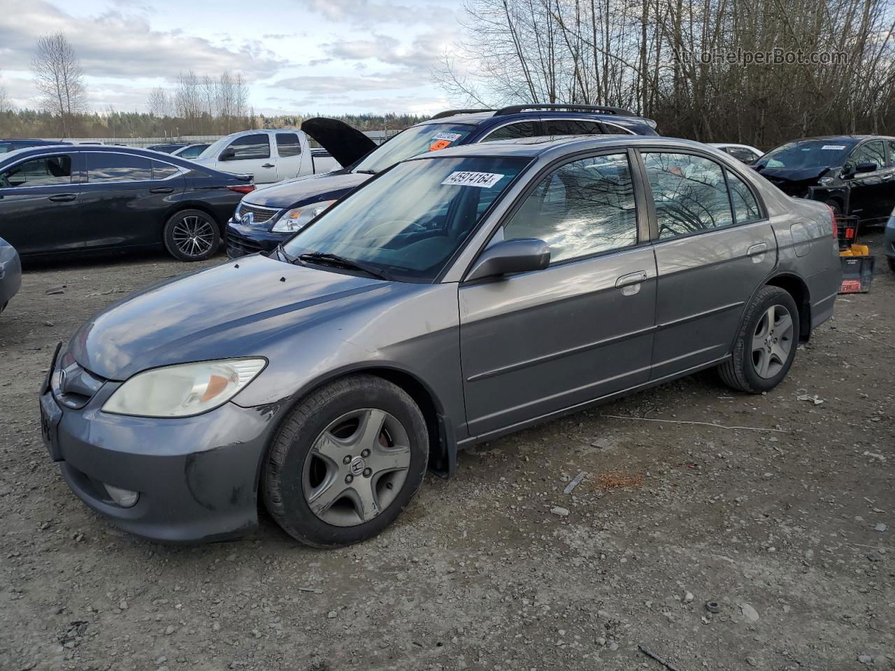 2004 Honda Civic Ex Gray vin: 2HGES26794H581193