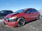 2008 Honda Civic Dx-g Red vin: 2HGFA16448H008411