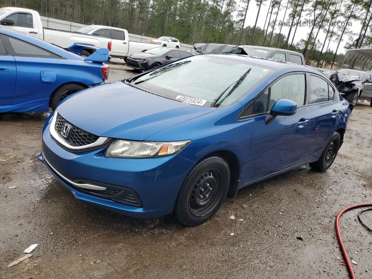 2013 Honda Civic Lx Blue vin: 2HGFB2F50DH549641