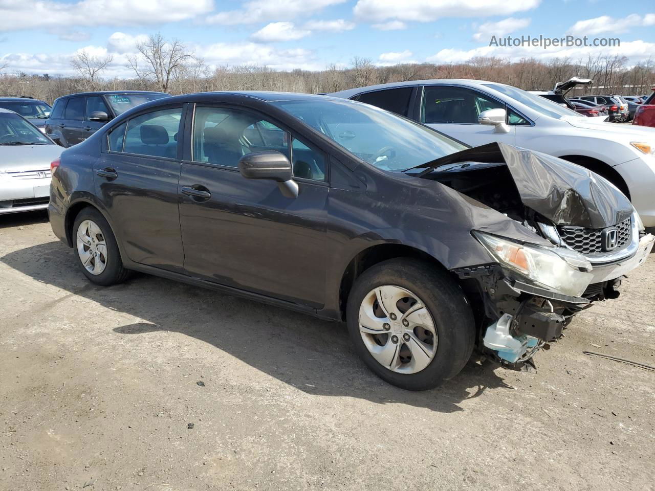 2014 Honda Civic Lx Brown vin: 2HGFB2F53EH517896