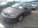 2014 Honda Civic Sedan Lx Шампань vin: 2HGFB2F59EH533715