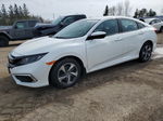 2020 Honda Civic Lx White vin: 2HGFC2E54LH012283