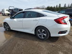 2020 Honda Civic Lx Белый vin: 2HGFC2E54LH012283