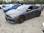 2017 Honda Civic Lx Gray vin: 2HGFC2F57HH565841