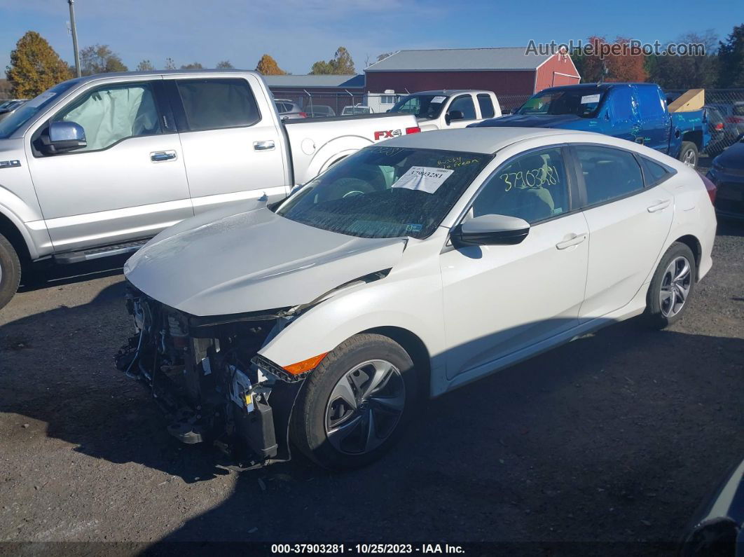 2020 Honda Civic Lx  White vin: 2HGFC2F61LH577968