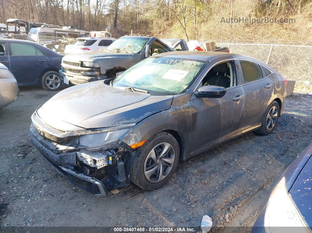 2019 Honda Civic Lx Gray vin: 2HGFC2F63KH567859