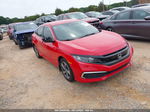 2019 Honda Civic Lx Red vin: 2HGFC2F65KH587952