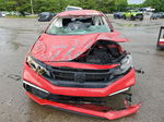 2019 Honda Civic Lx Red vin: 2HGFC2F65KH601655