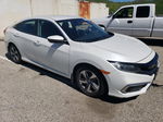 2019 Honda Civic Lx White vin: 2HGFC2F69KH557742