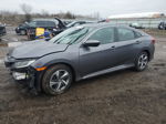 2020 Honda Civic Lx Серый vin: 2HGFC2F6XLH520748