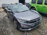 2020 Honda Civic Lx Gray vin: 2HGFC2F6XLH534438