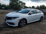 2020 Honda Civic Lx White vin: 2HGFC2F6XLH542510