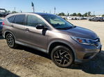 2016 Honda Cr-v Se Gray vin: 2HKRM3H42GH543416